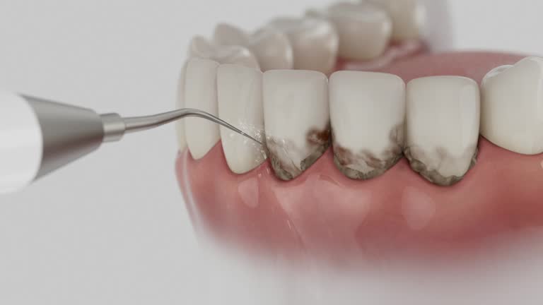 Reliable Dental contractor in Eden, NC by Dentist Open Now